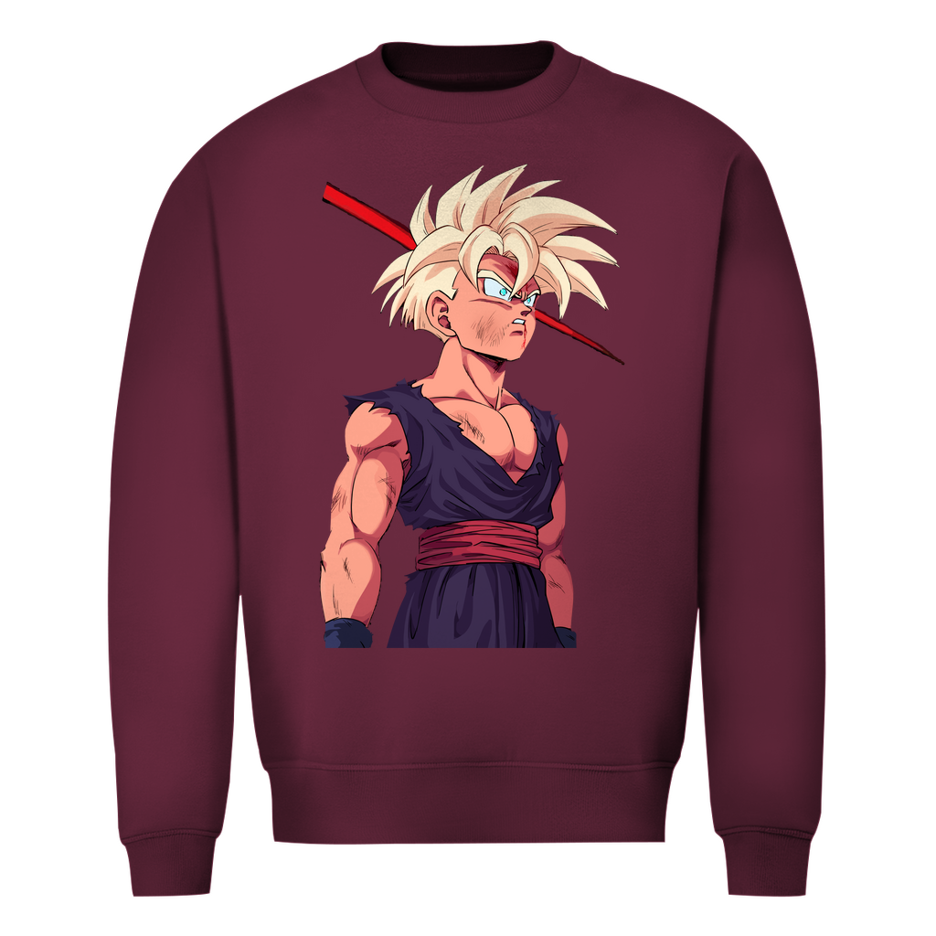 Gohan Herren Sweatshirt
