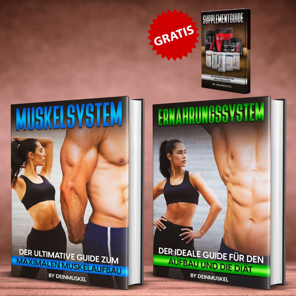 Ultimate Bundle E-Book