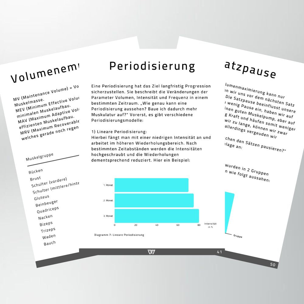 Muskelsystem Leseprobe