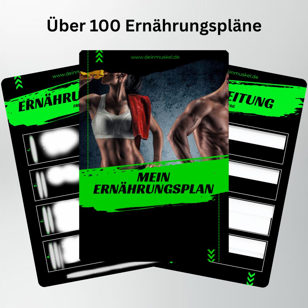 Ernährungsplan